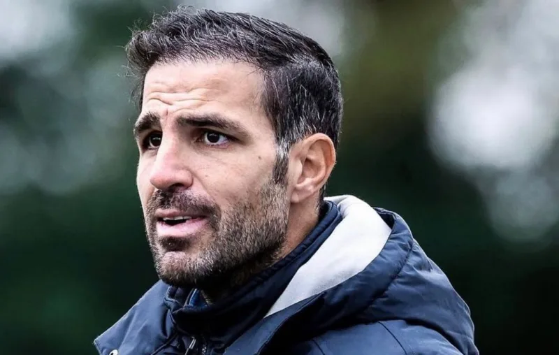 Cesc fabregas 3