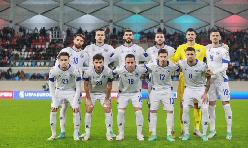 Nfsbih savez