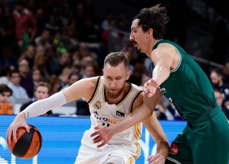 Dzanan musa nihad djedovic
