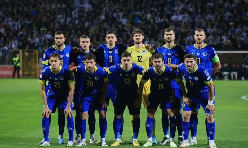 Nfsbih s
