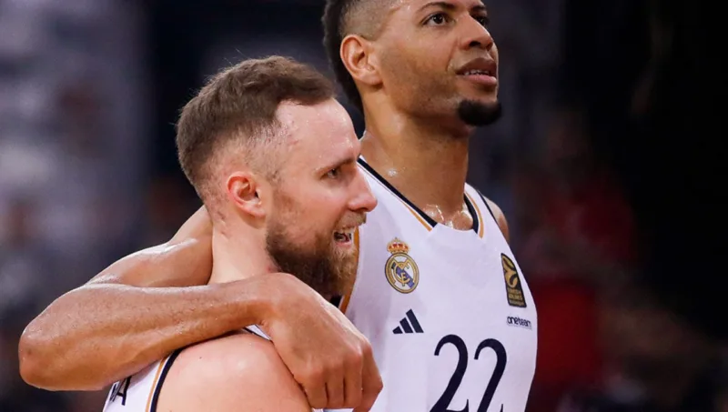 Dzanan musica