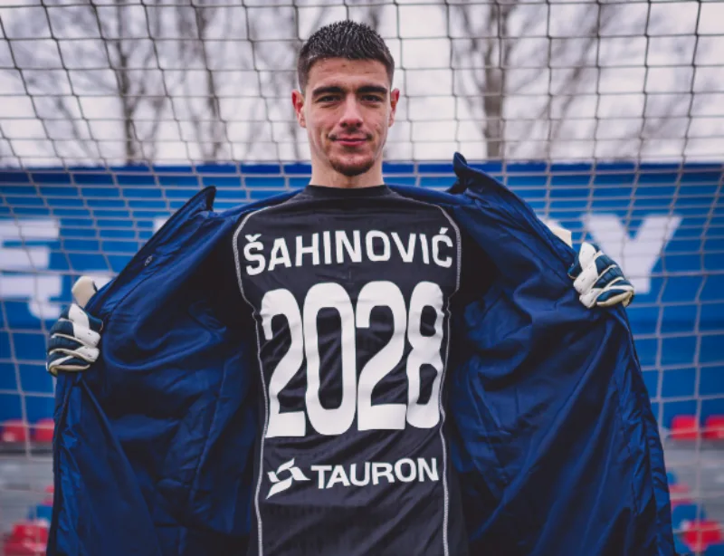 Sahinovic