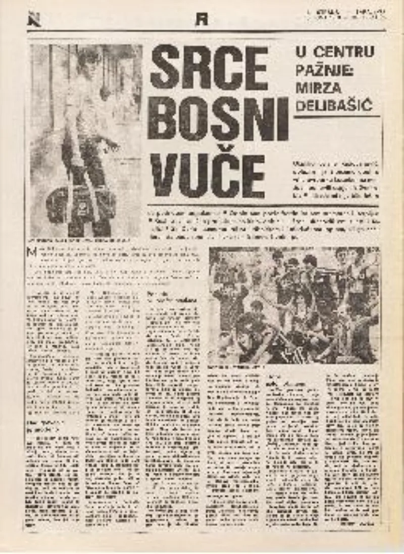 Novine
