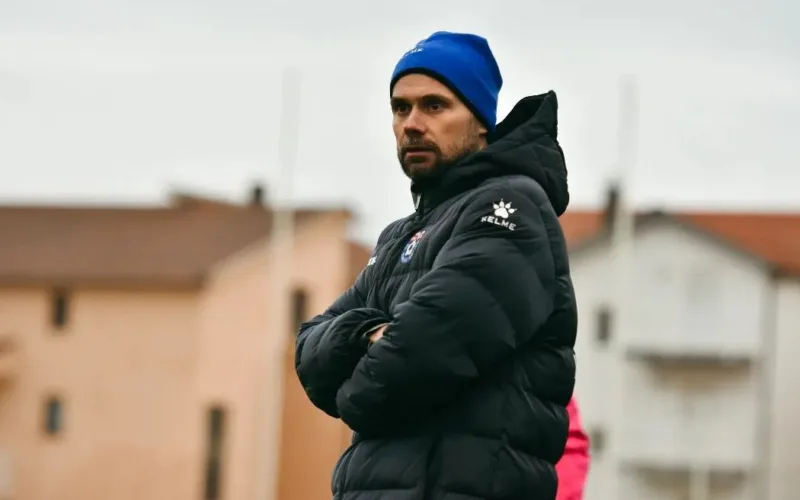 Dino skendera