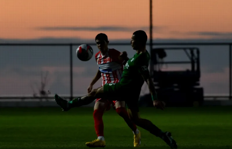 FK Crvena zvezda