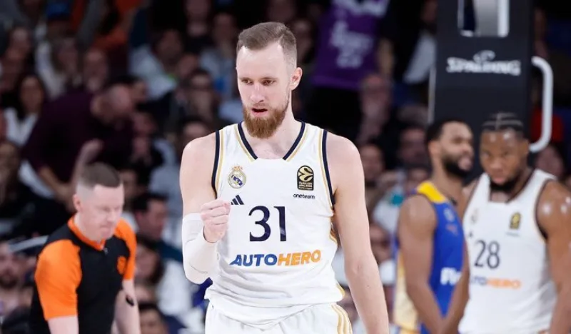 Dzanan musa s