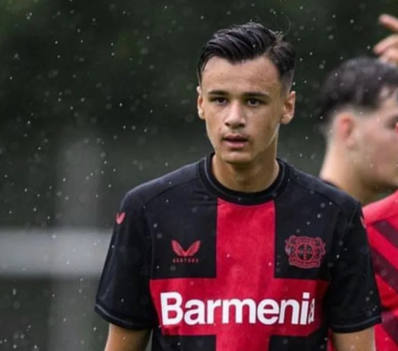 Alajbegovic