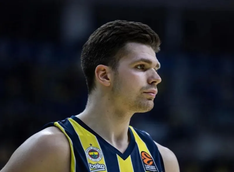 Tarik biberovic