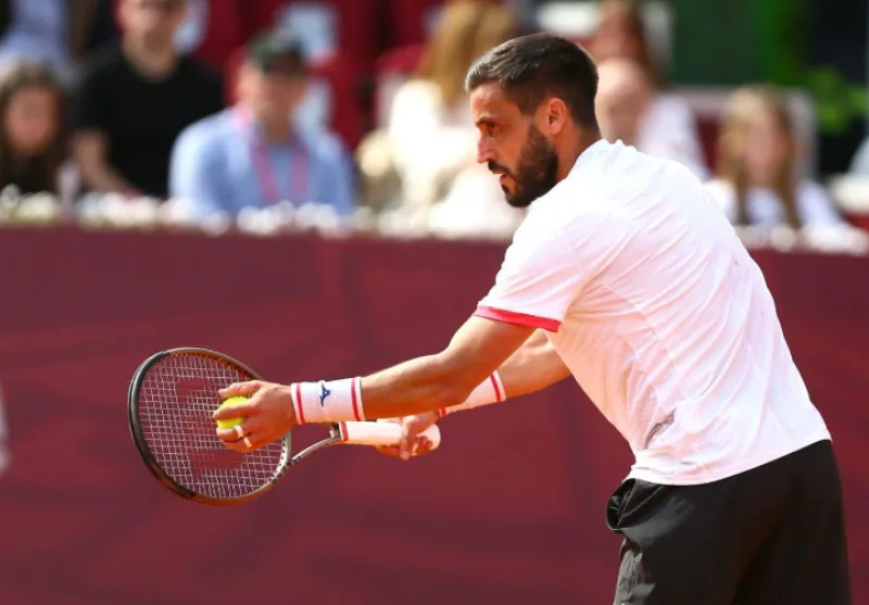 Damir Dzumhur 1