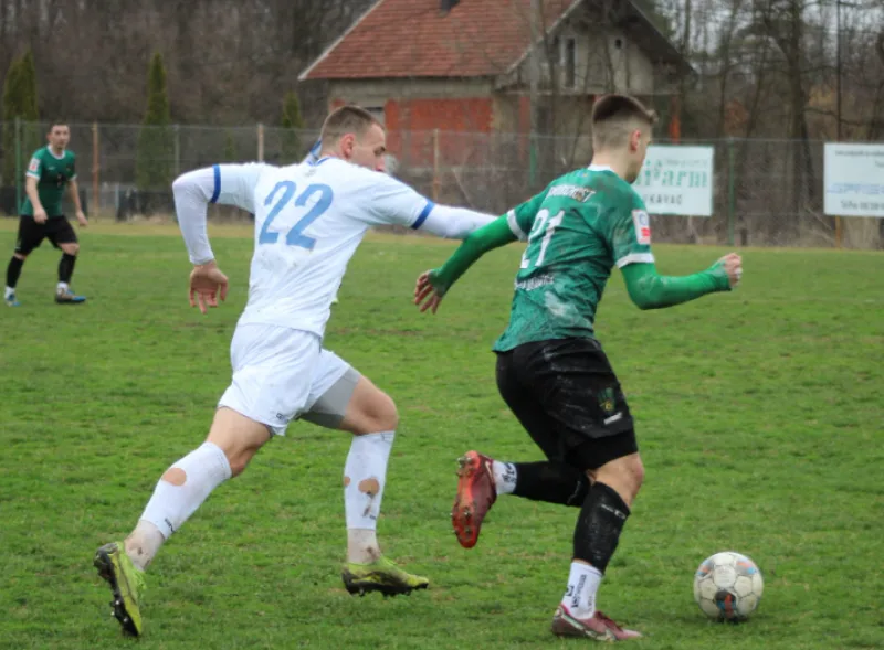 Buducnost Radnik