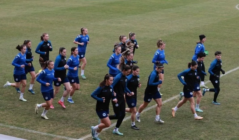 Zene nfsbih