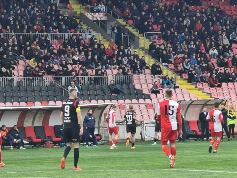 Celik mladost