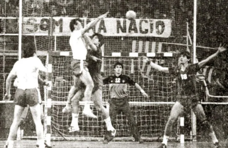 Slofa domaoj