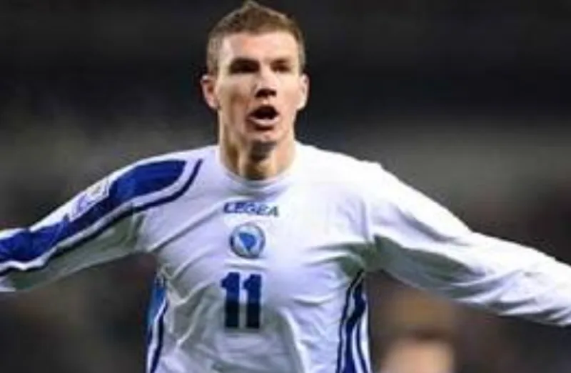 Dzeko fena