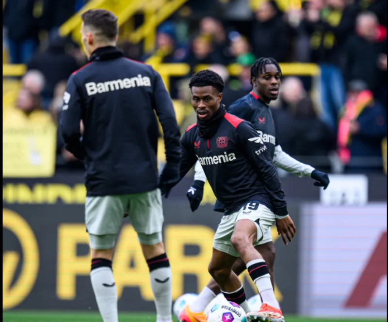 Bayer 1