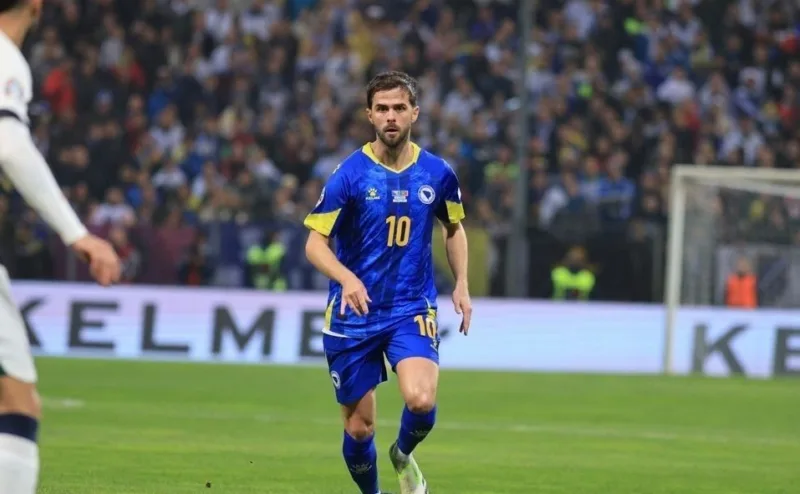Pjanicas nfsbih