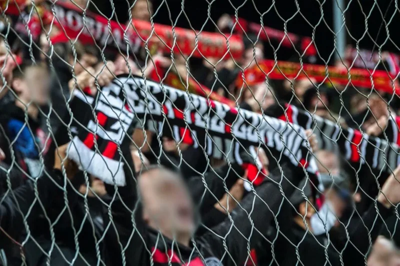 Robijasi zenica