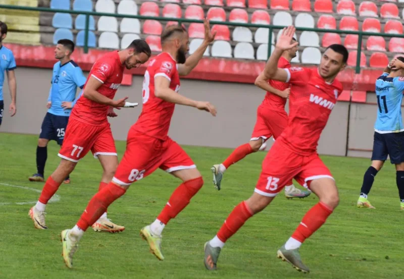 Zvi sada
