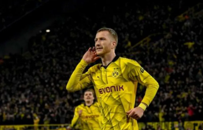 Reus 3