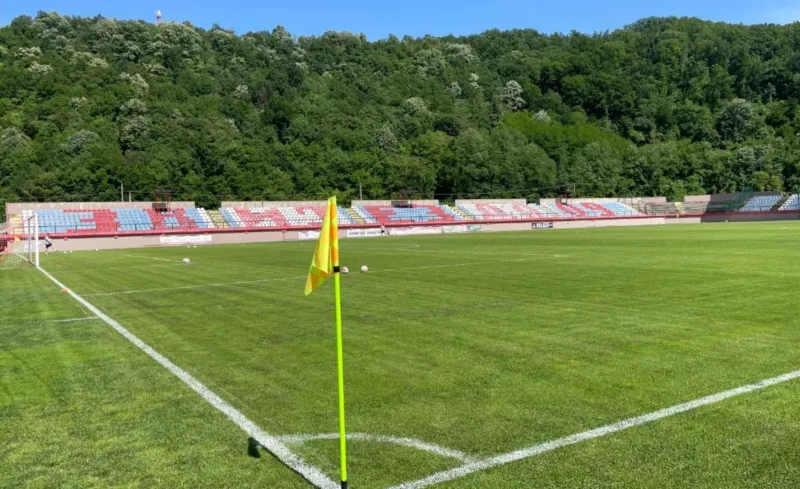 Zelji stadas