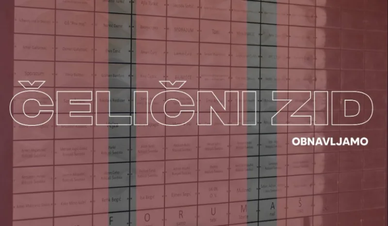 Celicni zid