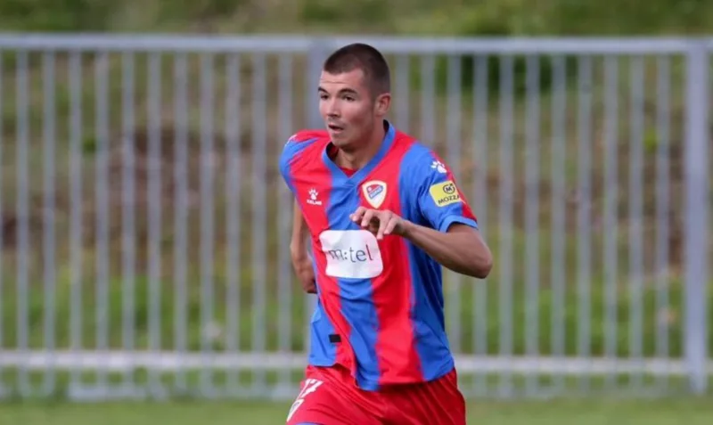 David vukovic