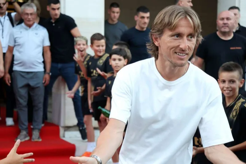 Modric FENA