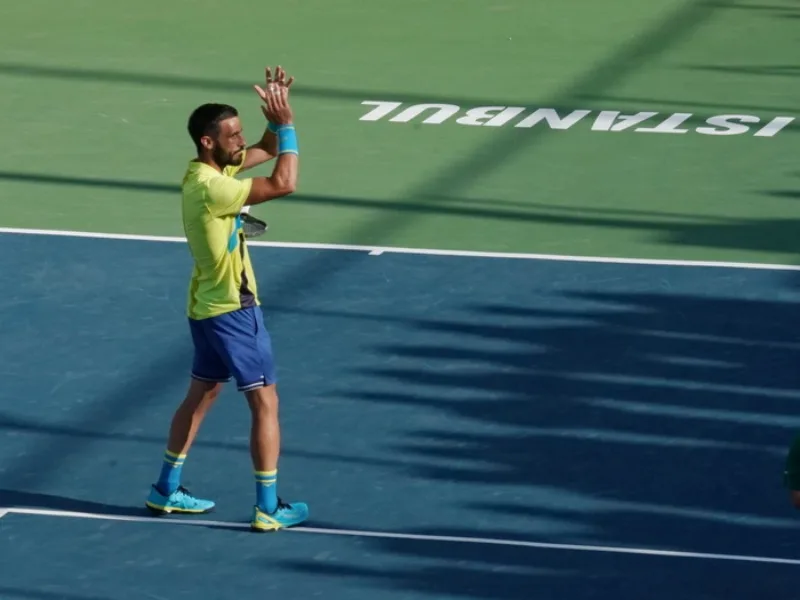 Damir dzumhur istanbul