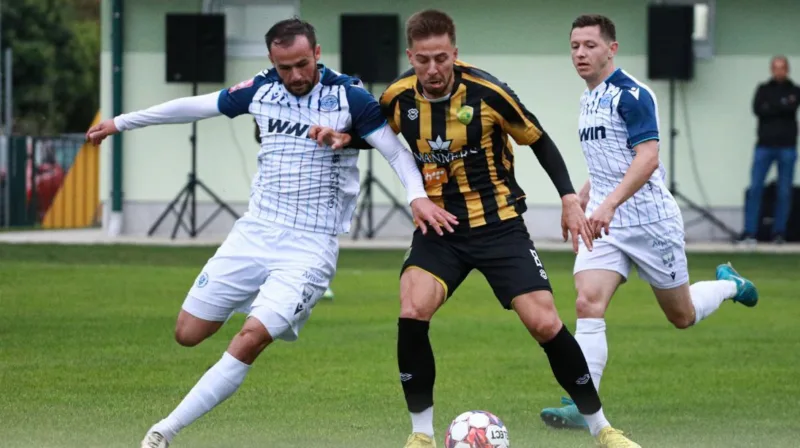 Zeljeznicar stupcanica marin galic