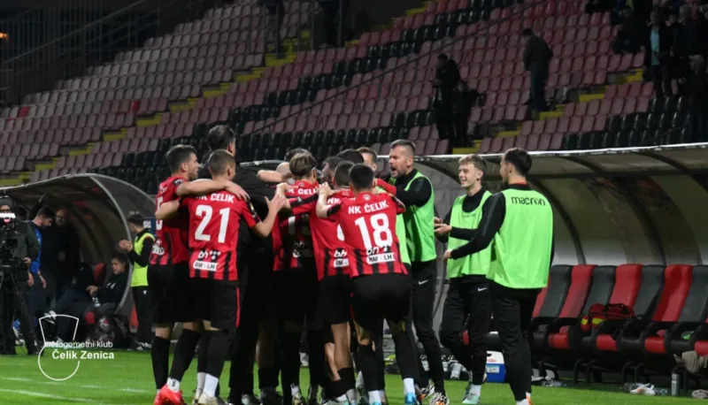 Celik zenica