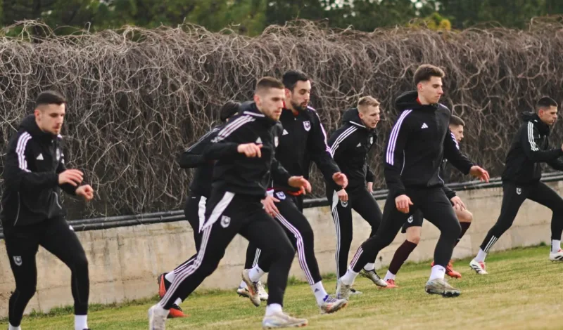 Sar rovi