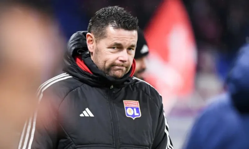 Lyon sad