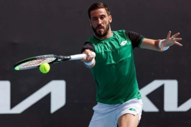 Dzumhur 1