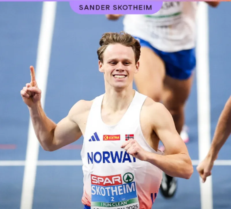 Sander