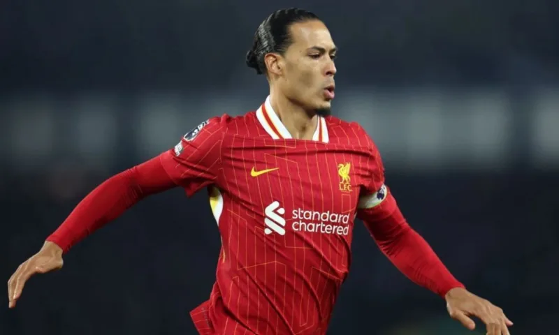 Van dijk 1
