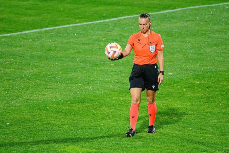 Celik slikada