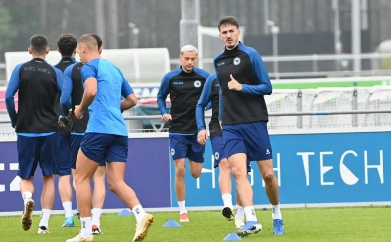 Stjepan radeljic reprezentacija bih bosna i hercegovina nfsbih