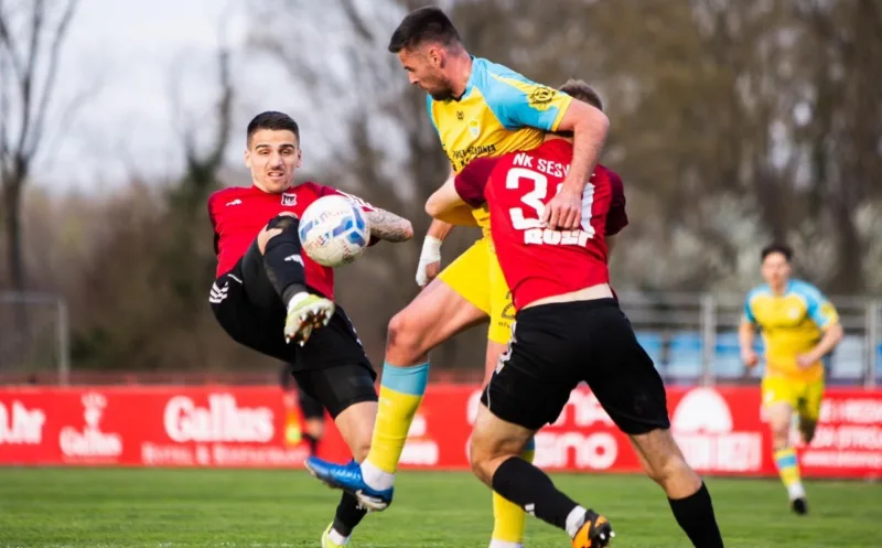 Ajdin mujagic