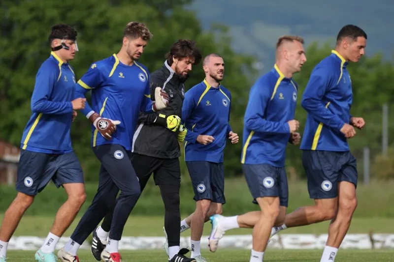 Nfsbih a reprezentacija bih
