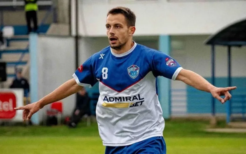 Milan sikanjic laktasi