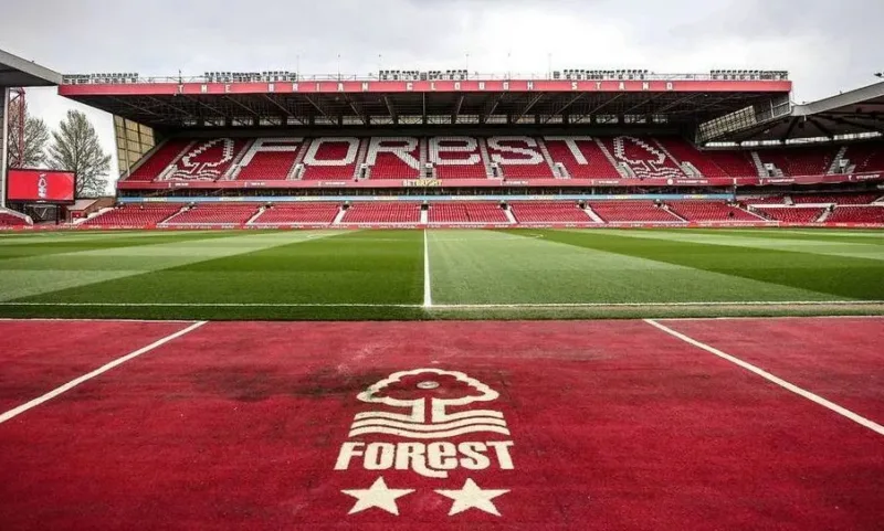 Forest stadion