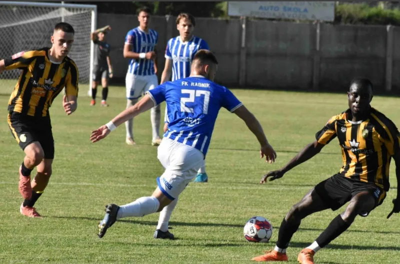 Radnik hadzici stupcanica