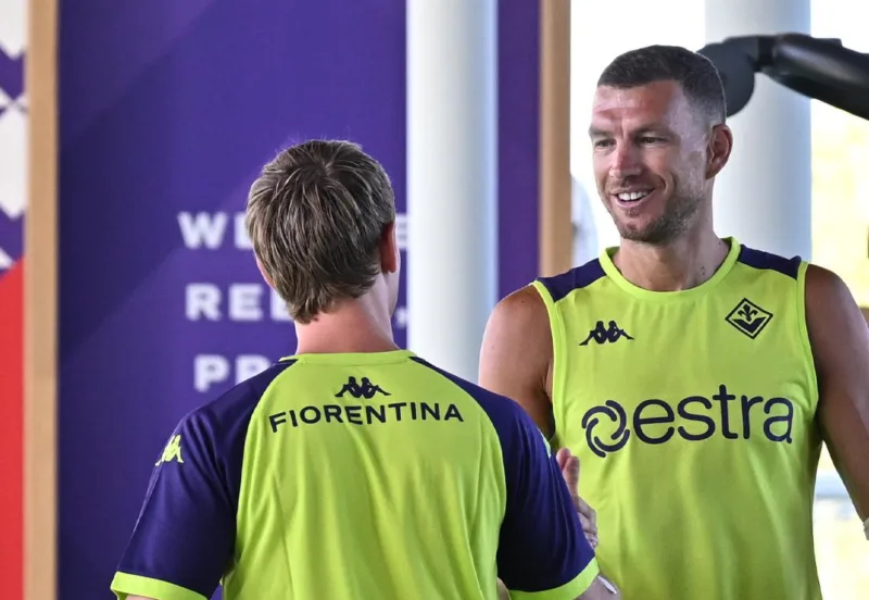 Edin dzeko fiorentina