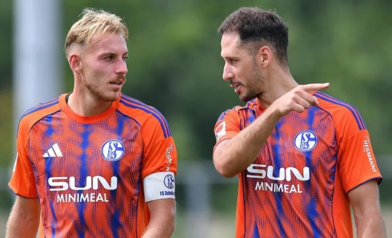 Nikola katic schalke 04