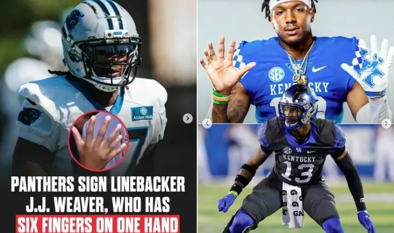 Jj weaver carolina panthers