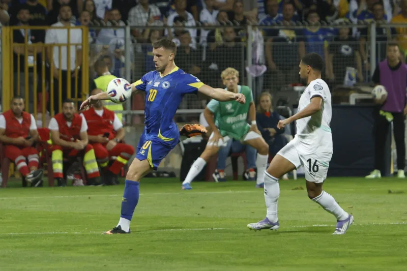 Bih aut zenica 10
