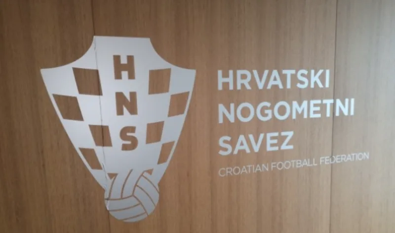 Hns 3