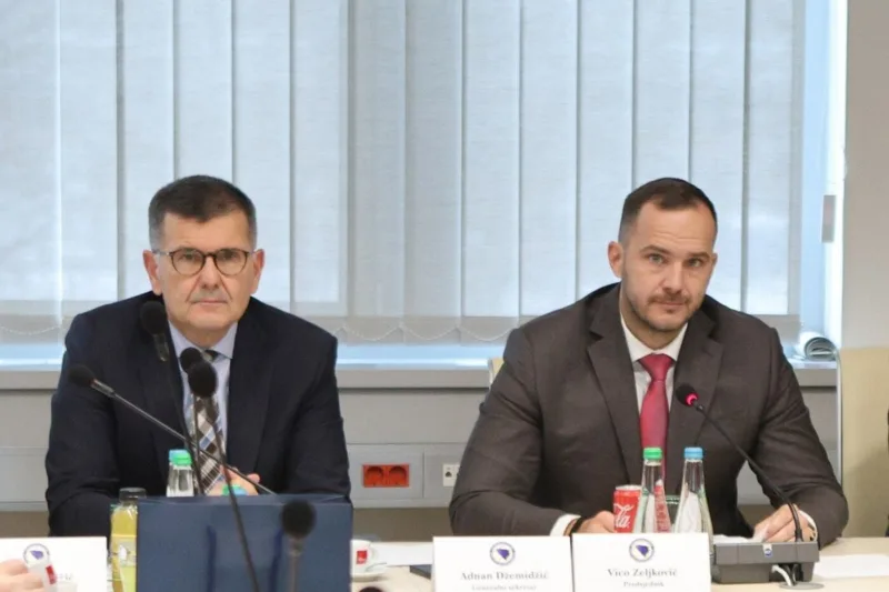 Dzemidzic vico zeljkovic