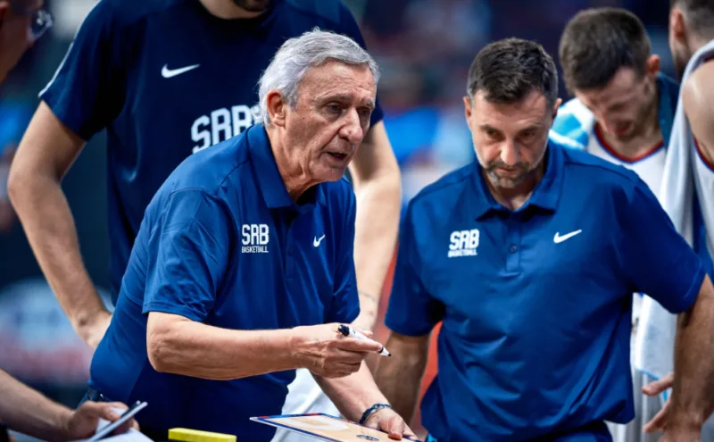 Pesic fiba 1