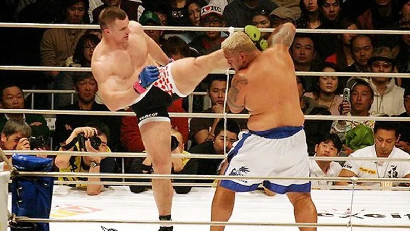 Mirko cro cop filipovic mark hunt
